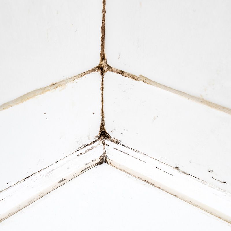 더러운 타일 접합부