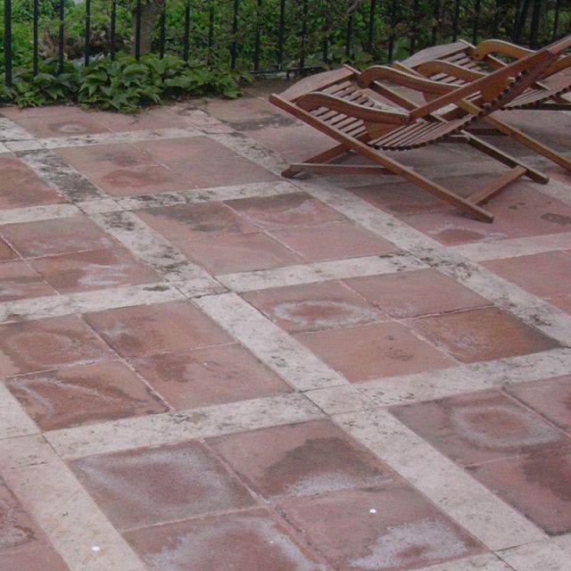 염분성 백화현상