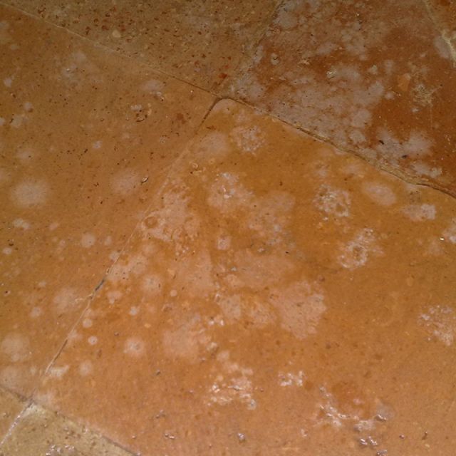 흰색 알코올, 암모니아 또는 표백제 얼룩