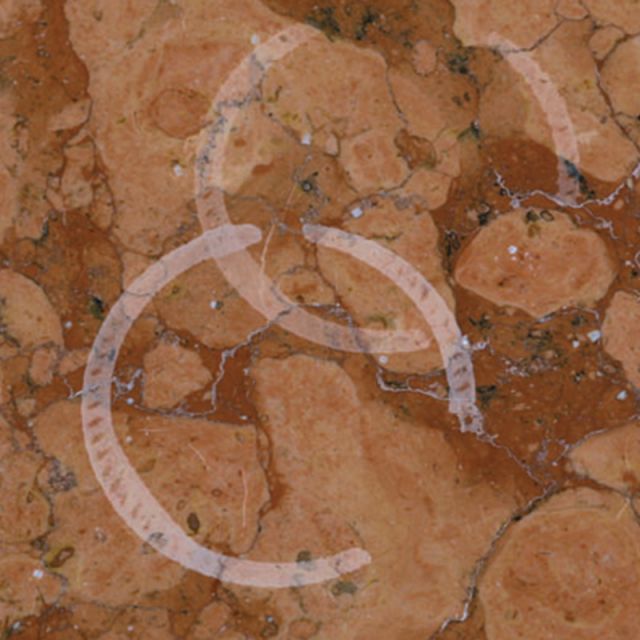 불투명한 얼룩(식초, 레몬, 콜라, 와인, 수질 제거제)