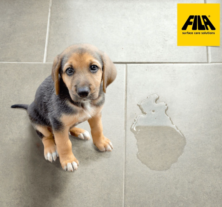 타일 나노코팅, 정말 필요한가? 상술에 속지 않는 타일 관리법