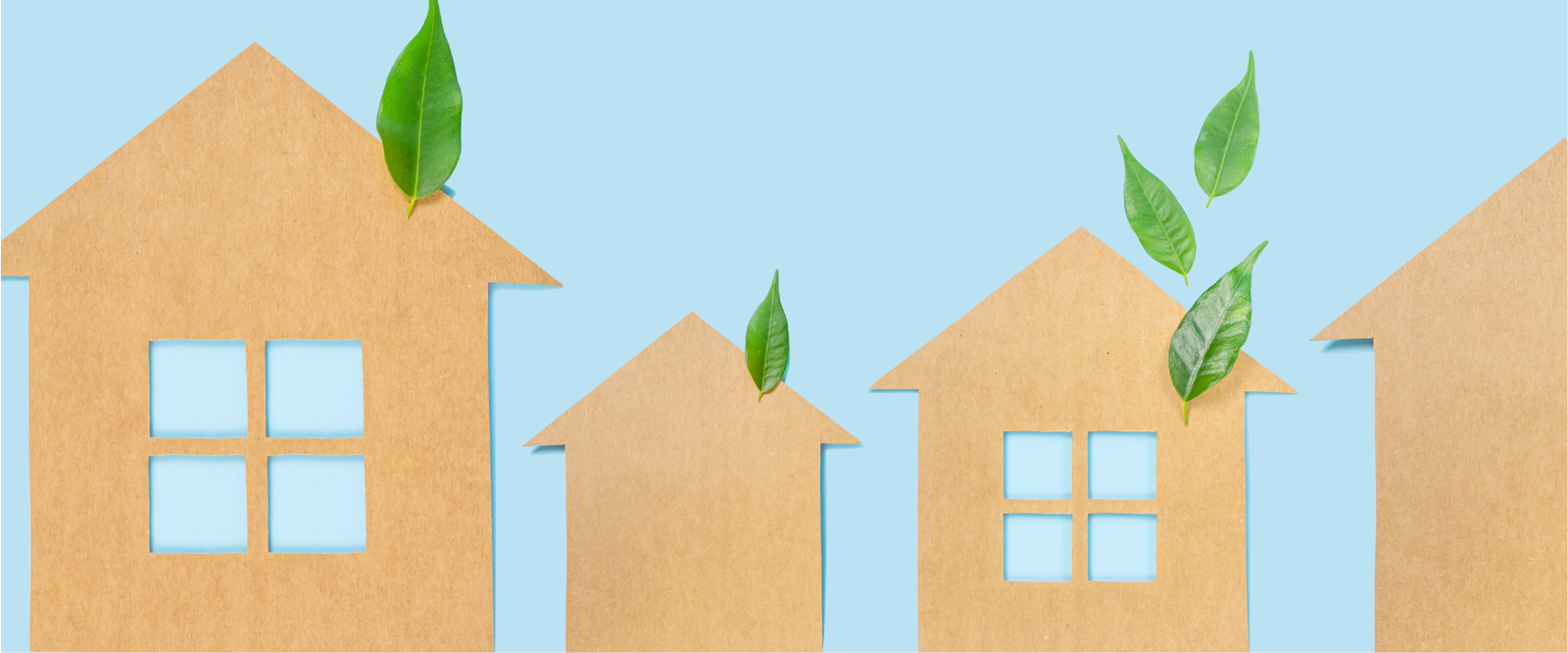 친환경 집 청소를 위한 5가지 팁