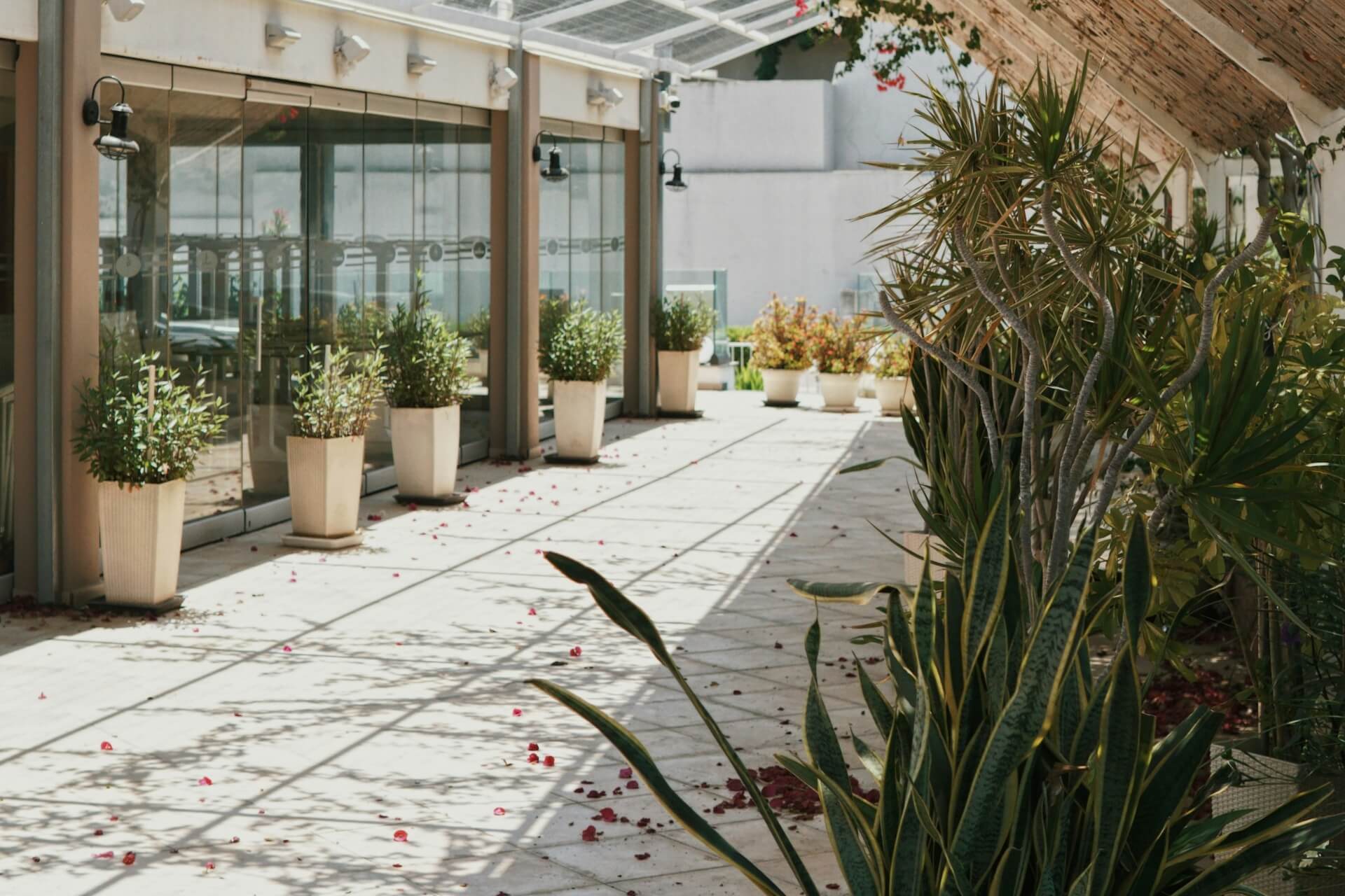 정원 관리 마스터하기: 외벽과 바닥 청소 및 보호 가이드