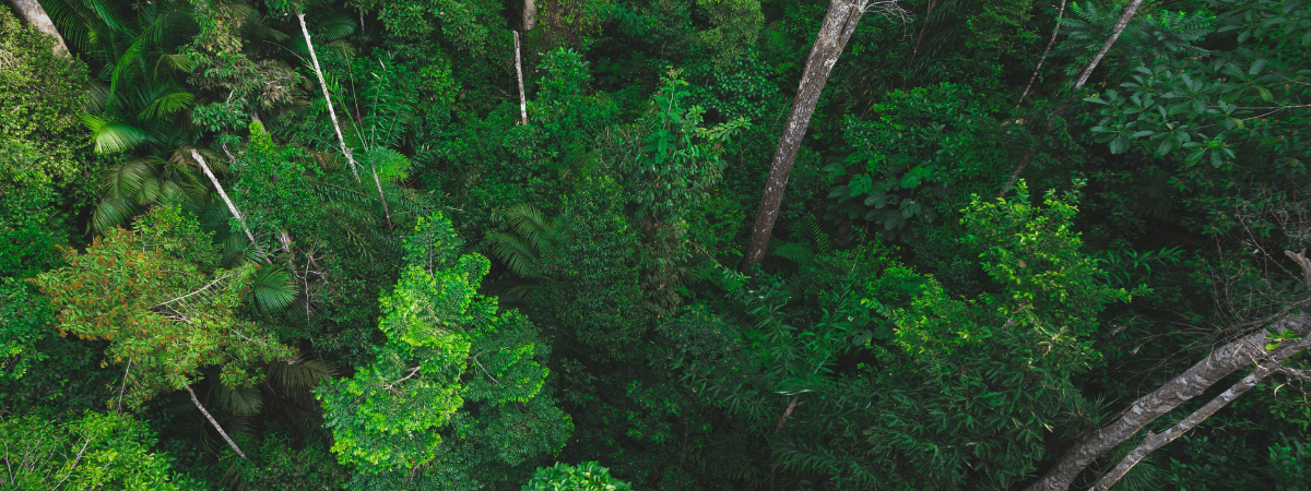 지속가능발전목표(SDGs) | 더 나은 내일을 위한 우리의 약속