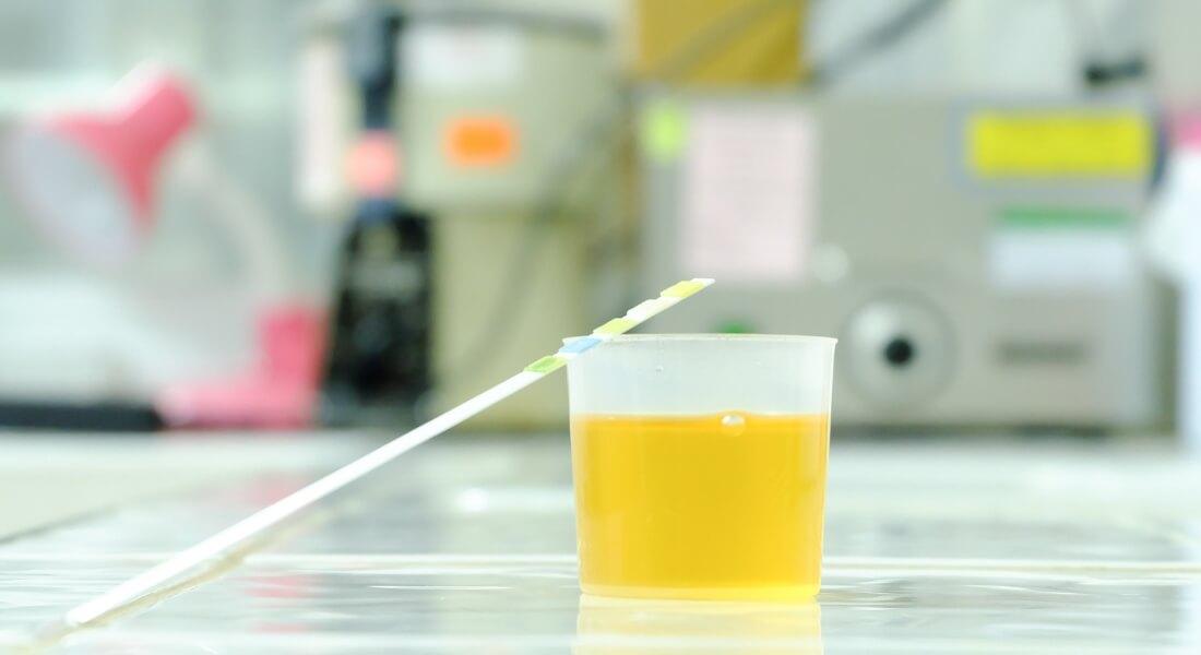 실내 공기 컴포트 골드란 무엇입니까? 이 인증과 다른 인증의 차이점은 무엇입니까?