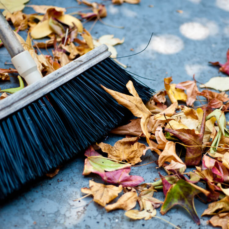 겨울철 방지 파티오 타일을 위한 5가지 팁과 최고의 클리너 및 씰러를 사용하십시오.